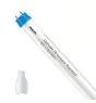 Philips LED Putki T8 CorePro (EM/Mains) Standard Output 8W 800lm - 865 Päivänvalo Valkoinen | 60cm - Korvaa 18W